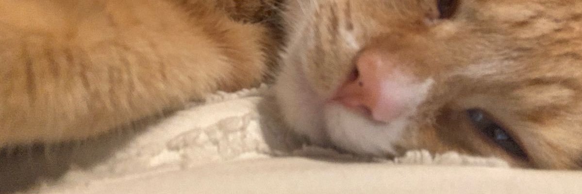 _ banner