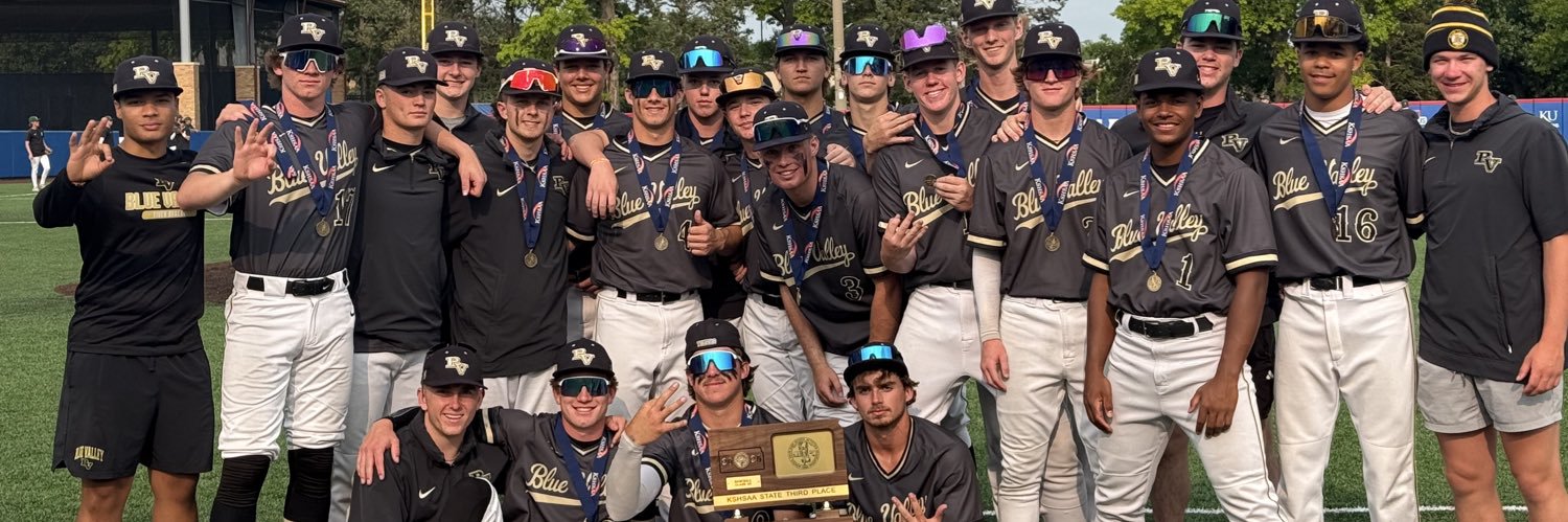 BV Baseball Coach banner