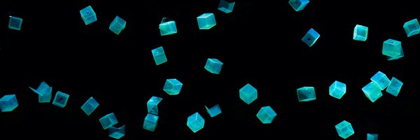 AssmusMark Profile Banner