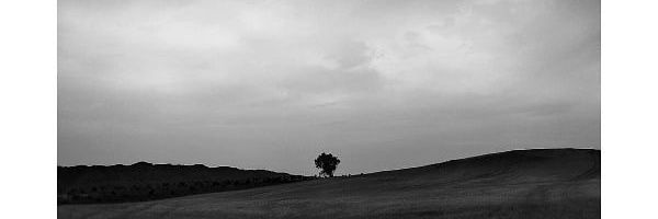 MrEriksson1 Profile Banner