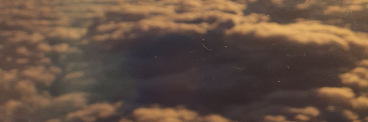 george_cod's profile banner image