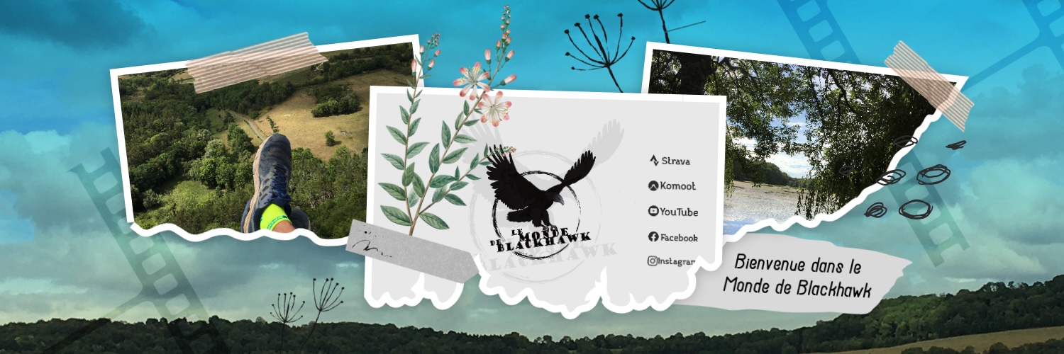 LeMondeBlackhawk banner