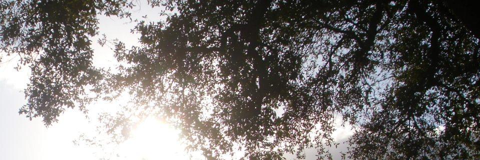 HanaKay47's profile banner image