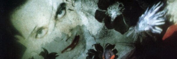 enry7515 Profile Banner