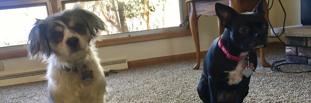skyissexy's profile banner image