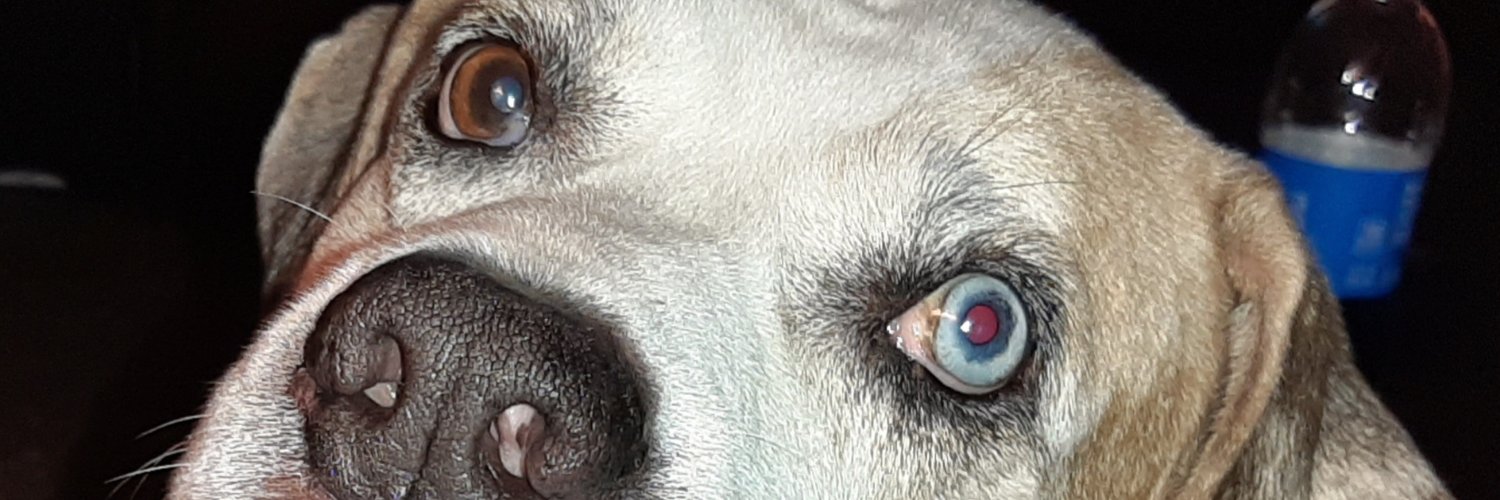 wildnet523's profile banner image