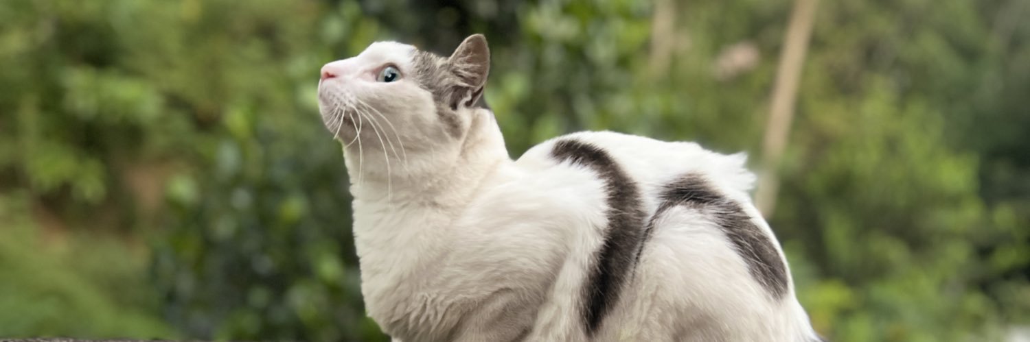 GODBLESSYOUWITHGOLD banner