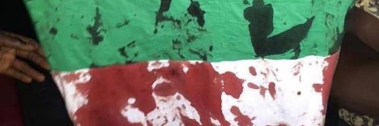 SASSIMEBIO's profile banner image
