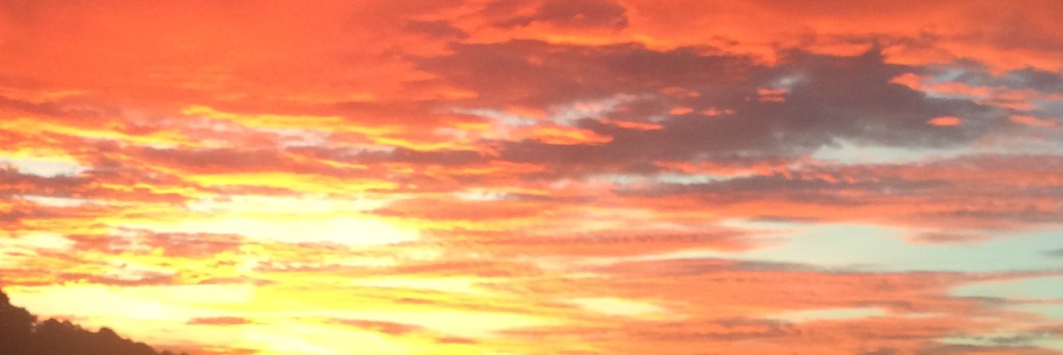 AndeeWilburn's profile banner image