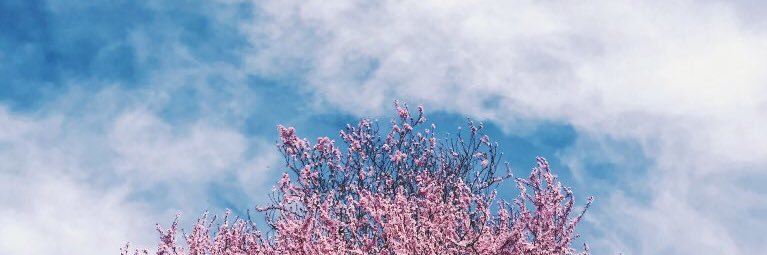 amierraaaa's profile banner image