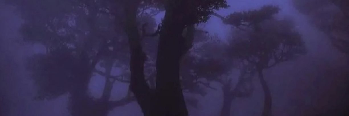 matdeew's profile banner image