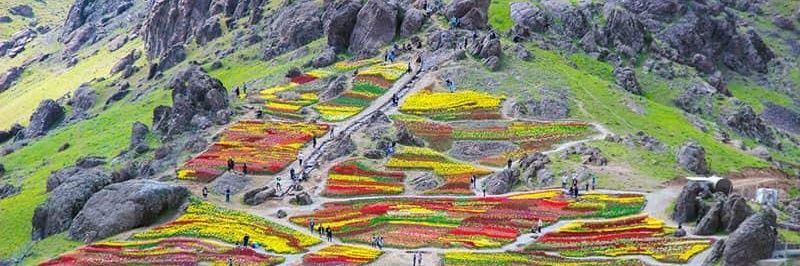 تنهای شب banner
