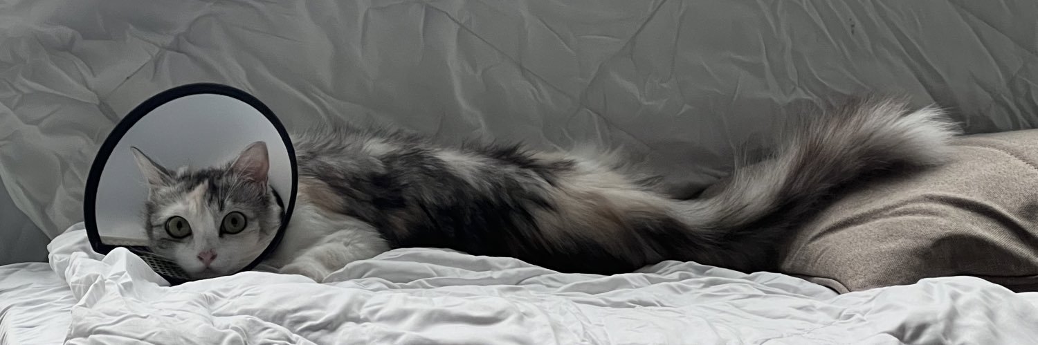 pibbychan's profile banner image