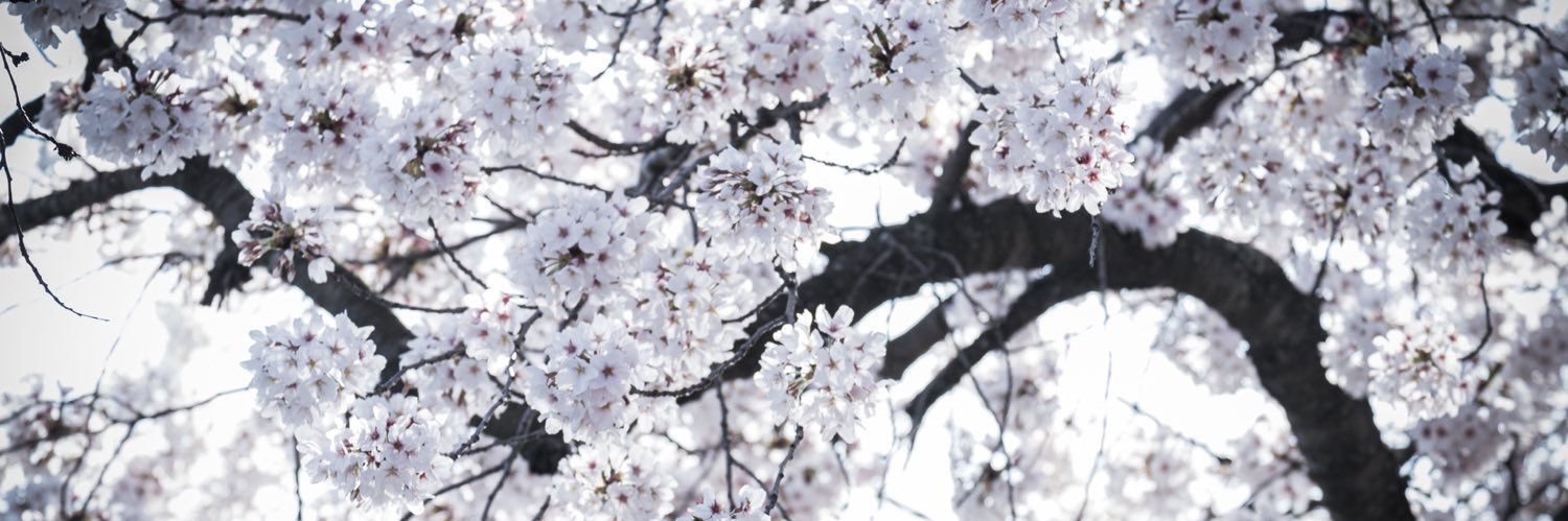 Travis Whitacre banner