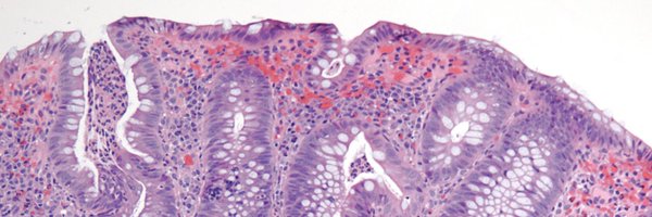 KurtSchaberg Profile Banner