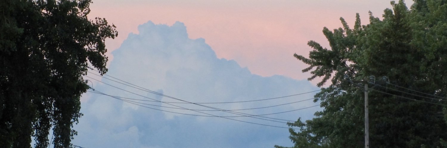 vince banner