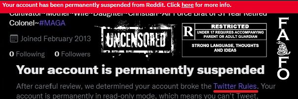 🇺🇸Dr. President-Elect Sinofmen🇺🇸 banner