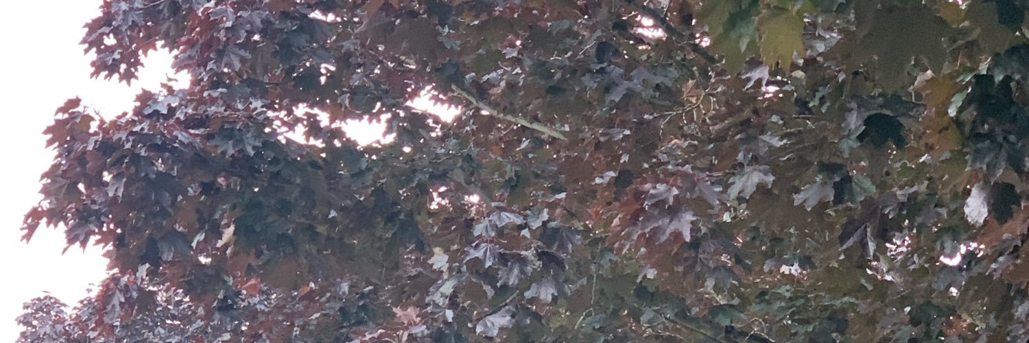 daniah_ph_'s profile banner image