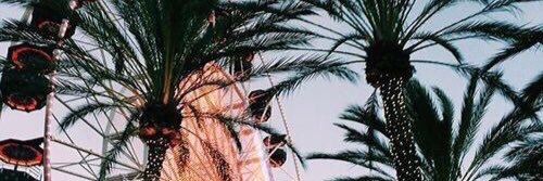 smmaria6's profile banner image