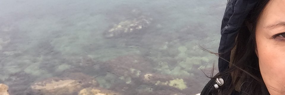 Sophie Lê Cong Nên banner