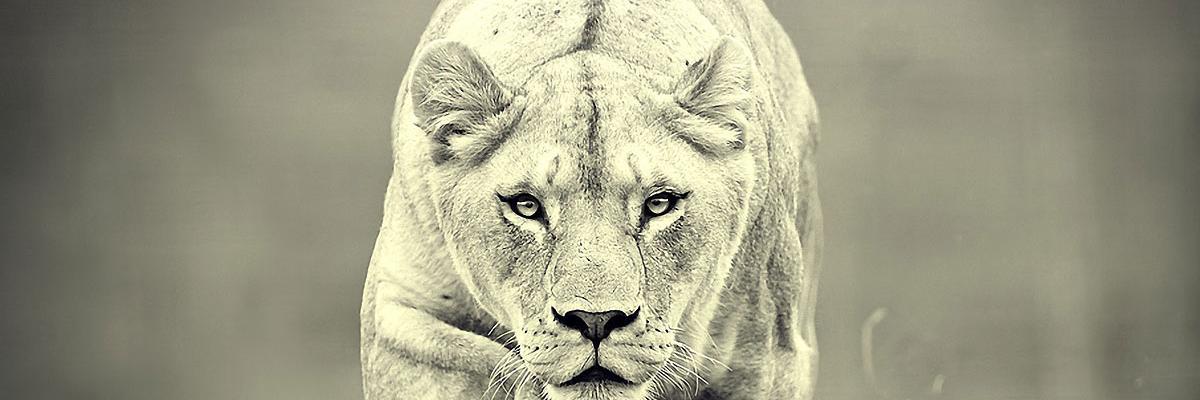 davidramirez232's profile banner image