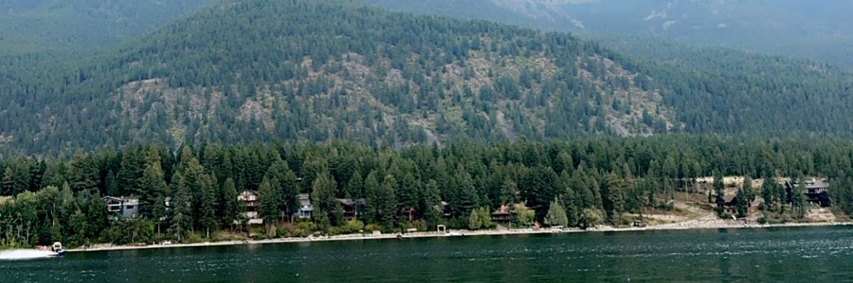 Patrick Wicklander banner