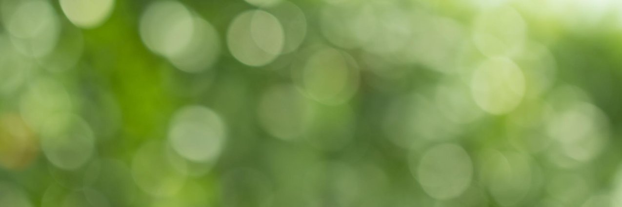 Zelst banner