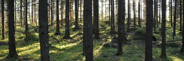 DKhanolainen Profile Banner