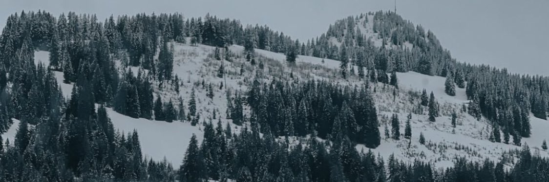 ledut91's profile banner image
