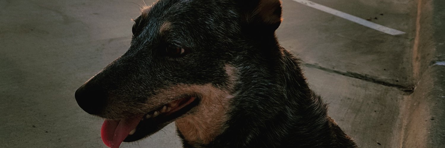 davcoh's profile banner image