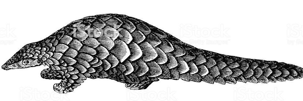ZulublackH's profile banner image