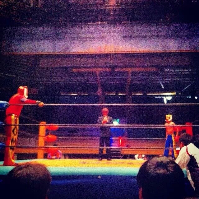 🐯OPG グレートムタイガー banner