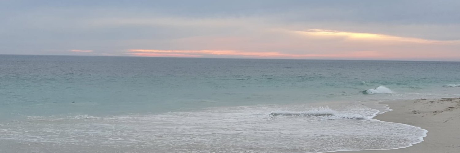 earthbirth's profile banner image