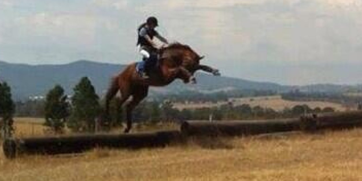 SpookyHorseProb's profile banner image