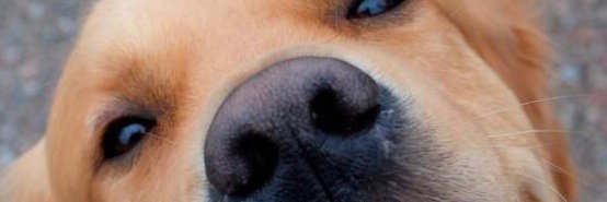ScottyWestyZ's profile banner image