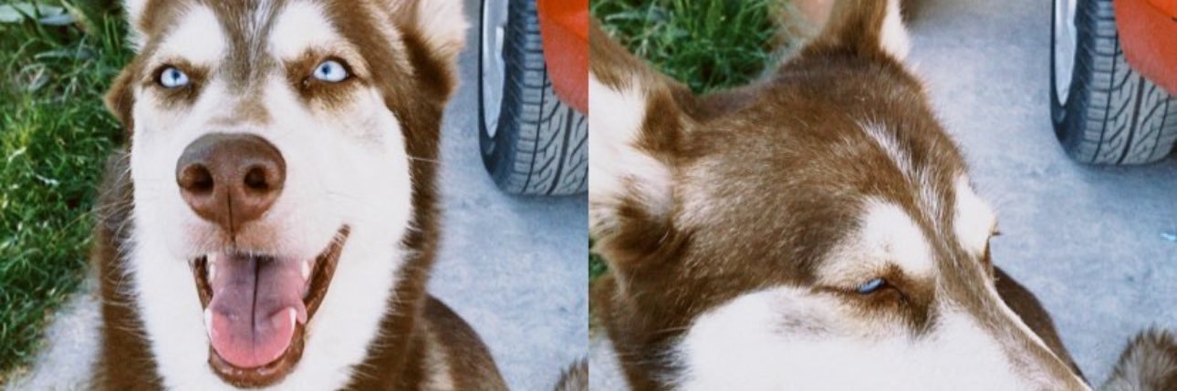 jessgmoo's profile banner image