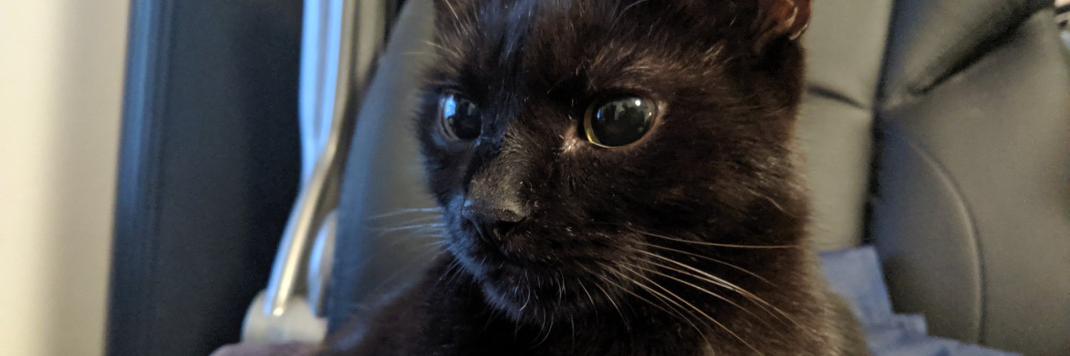 kuko61's profile banner image