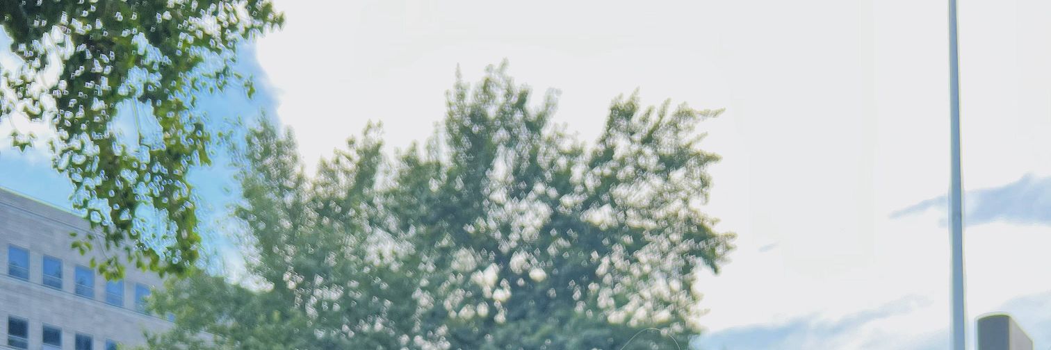 Zii banner