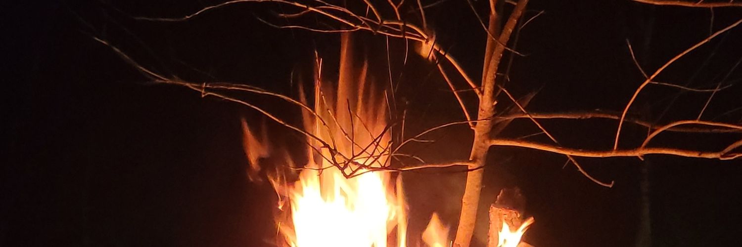 _trumpcarpenter's profile banner image