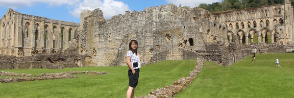 nguyenhdi Profile Banner