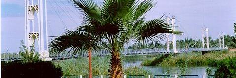 Abo Ramah banner