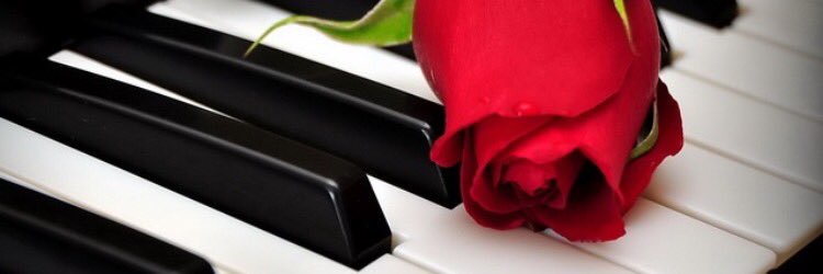 dollfrances1's profile banner image