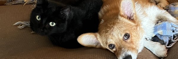 LauraBattersby5 Profile Banner