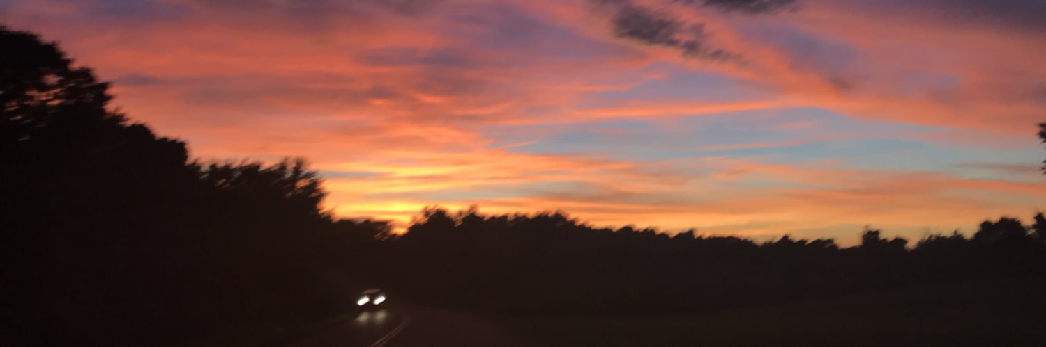 algardner8's profile banner image