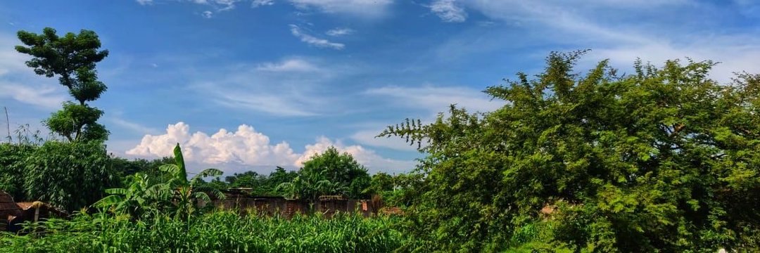 RajShaib's profile banner image