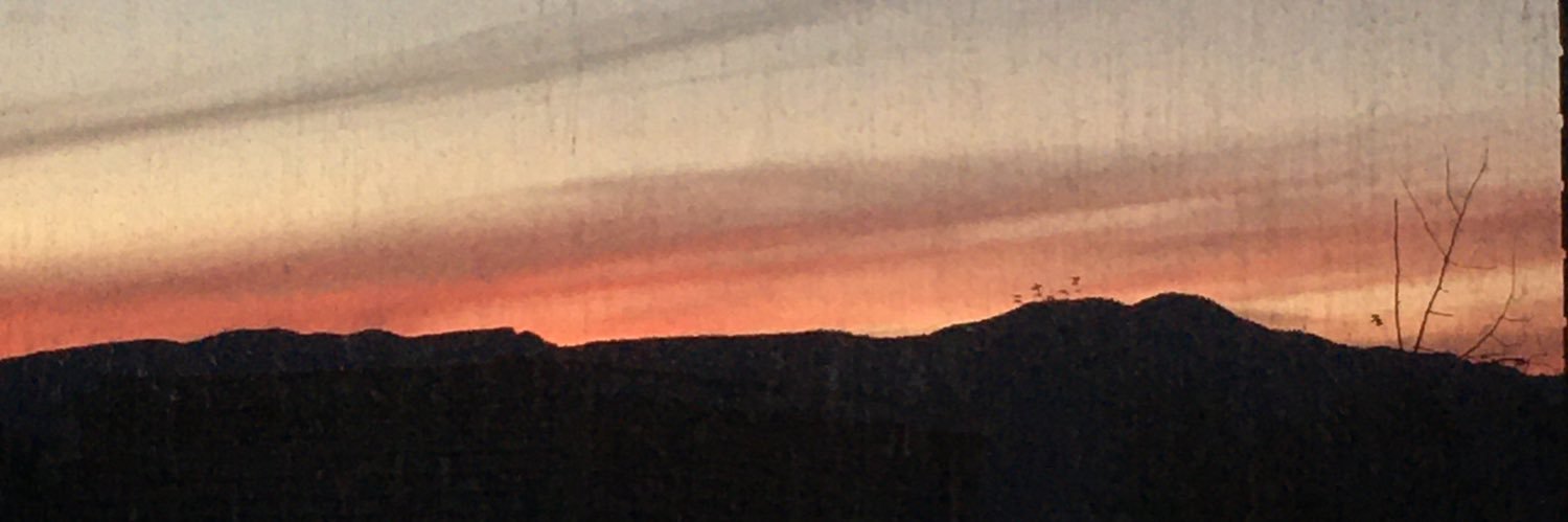 treldee's profile banner image