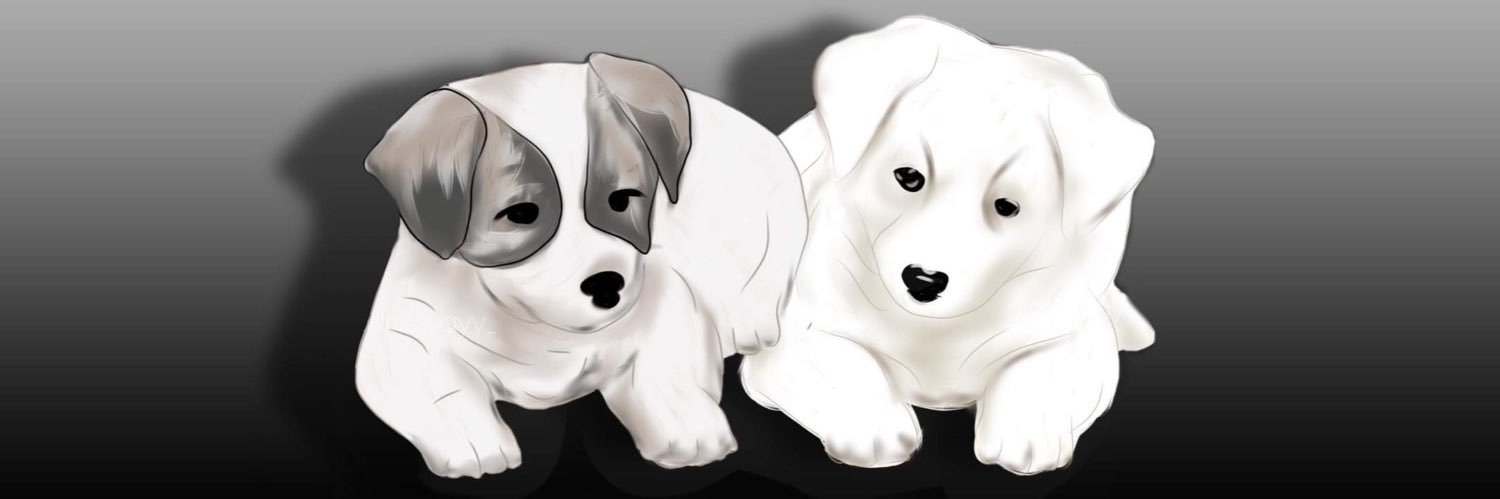 Potchi — banner