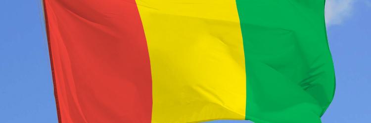 DIALLO Mamadou Aliou banner