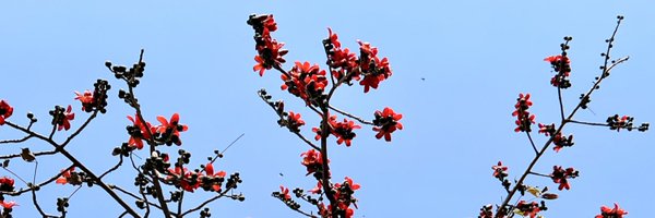 PriyankaTweets2 Profile Banner