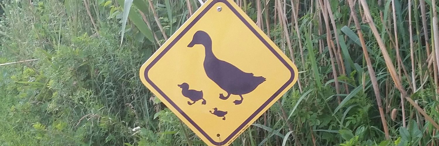 Rachel 🌟 Local Lychnobite 🌟 ἀστράρχη banner